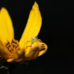 Irina Suslova's photo