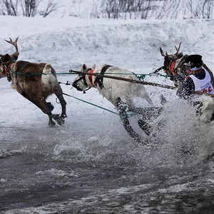 Veronika Gorbova's photo