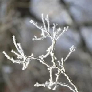 Sergej Oplachko's photo
