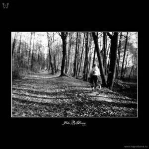 Dmitrij Krukov's photo