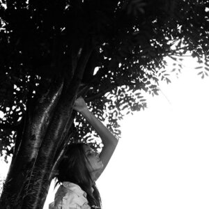 Foto 3532641