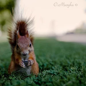 Foto von Oksana Muzyka