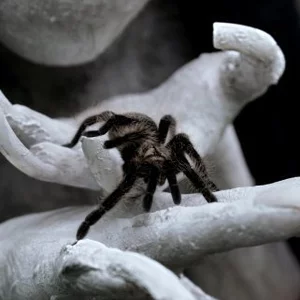 Natalia Zilakova's photo