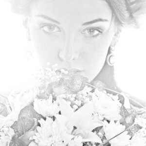 Photo 1651264