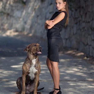 SYSOEVA SYSOEVA's photo