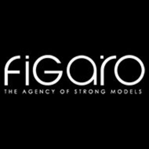 Логотип FIGARO International Management Group