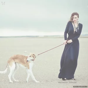 Вячеслав Солнцев's photo