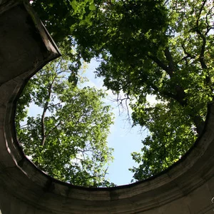 Evgenij Golovinov's photo