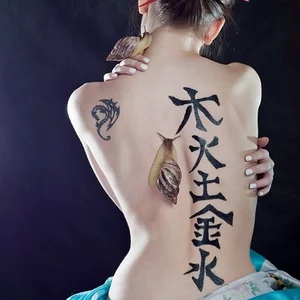 Kogut Kogut的照片