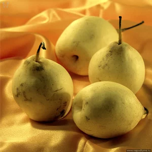 Фото Sergej Nemo