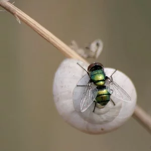 Nikolay Tatarchuk's photo