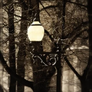 Sergej Saltykov's photo