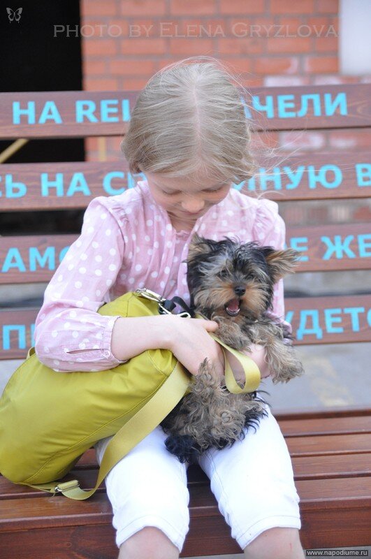 Фото Елена Польна