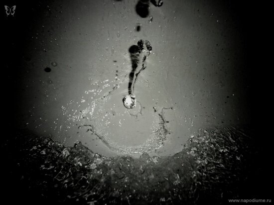 Фото Julia Tofan
