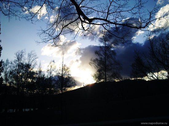 Nature