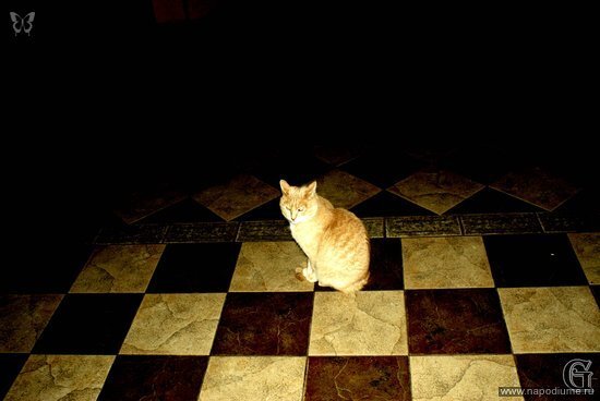 Фото Artyr Ginzo