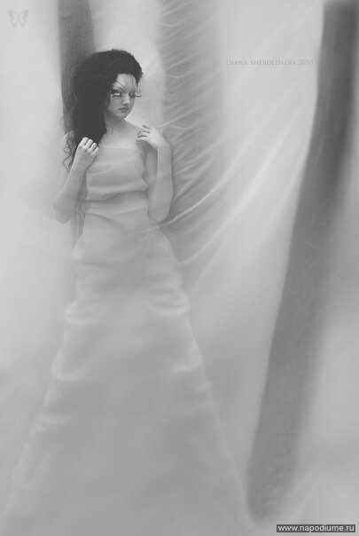 Фото anastasiya pokatilovskaya