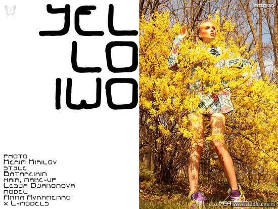 Фото Foty Mody