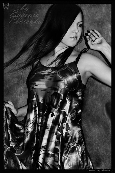 Eugenia euphoria Pavlenko