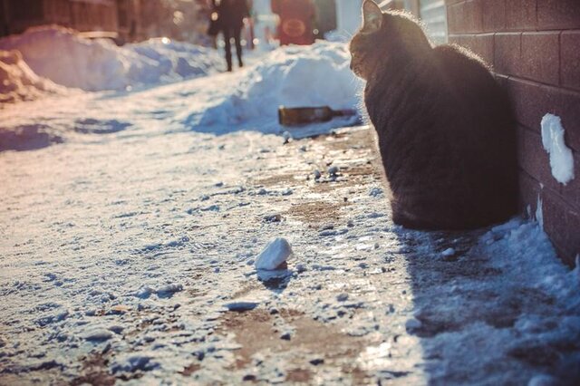 Фото Сергей Пестов