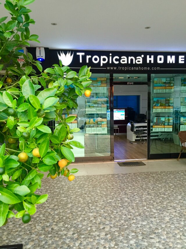 Tropicana Home's photo