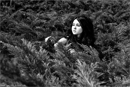 Фото Iva Basara
