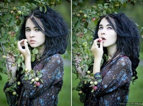 Фото Iva Basara