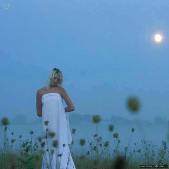 Фото Vitaly || Korolev