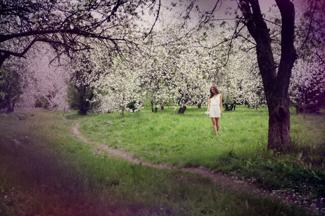 Foto Dinara Makina