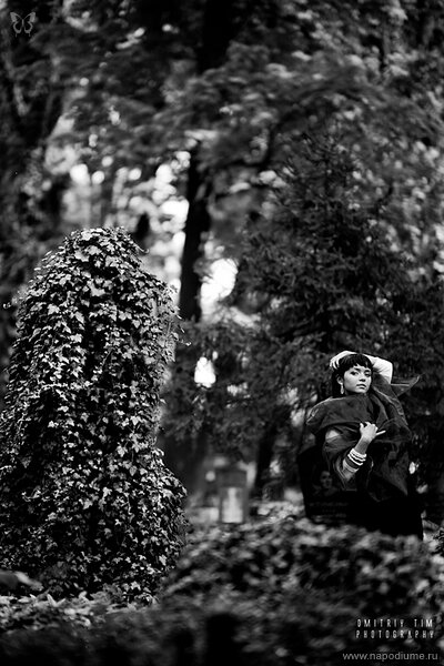 Фото Dmitriy TIm