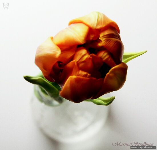 Фото Marina Strelbina