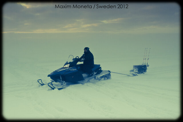 Фото Maxim Webbuzz