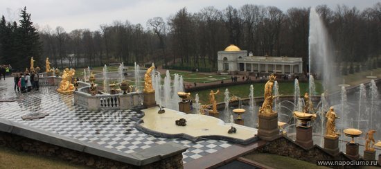 Фото Evgenia Mashkova