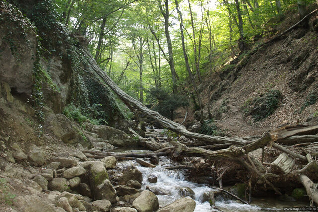 Фото Сергей Спасский