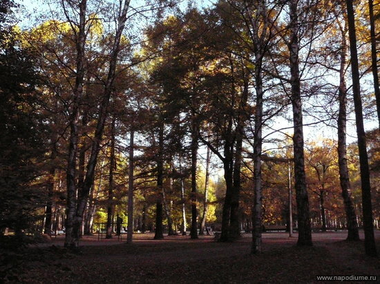 Фото Арсений Узбеков
