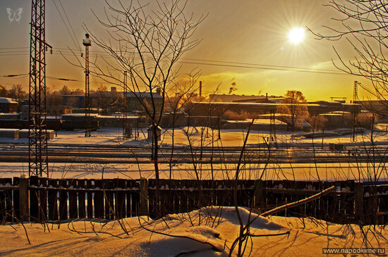 Фото Andrew Solovev