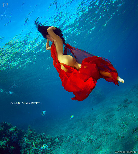 Фото Alex Vanzetti