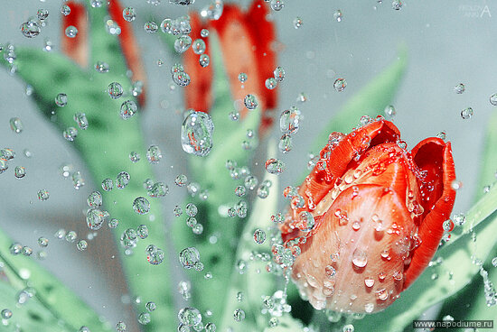 Фото Anna Frolova