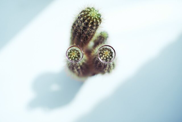 Фото Alena Fetisova