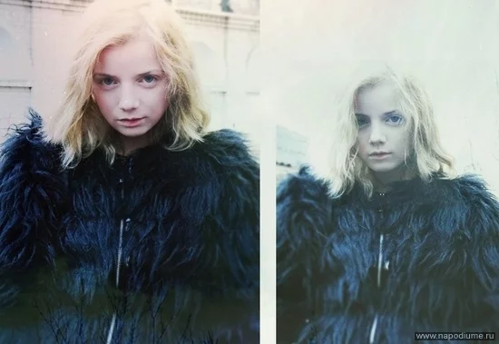 photo #1529383