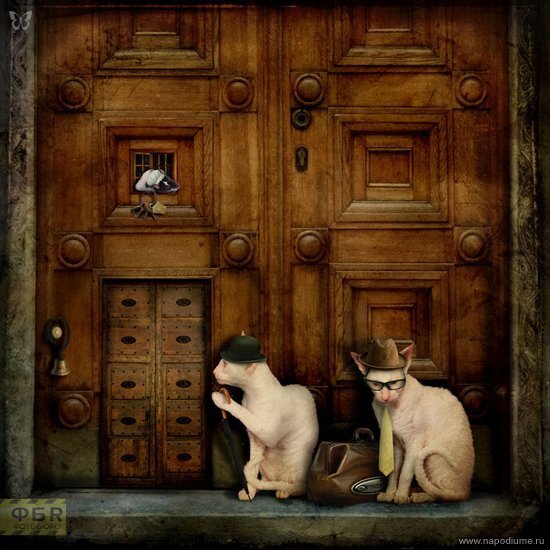 фотошоп,  фотография,  коллаж