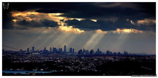 mert cakar's photo
