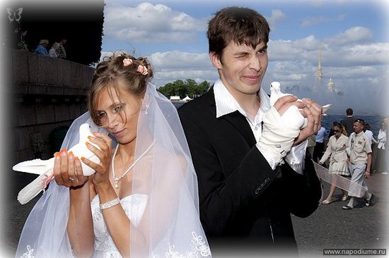 www.krencell.ru