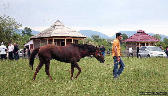 Фото iogan Chhkadya