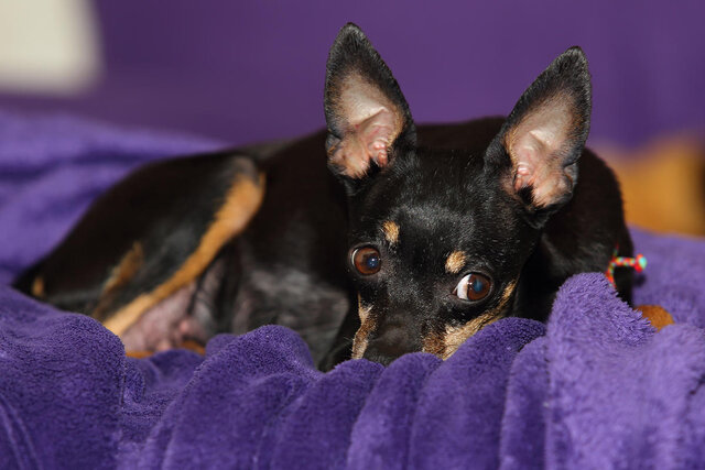 Фото Ирина Irina Ryabinina Рябинина