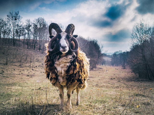 Фото Ruslan RusArtFoto Shatskih