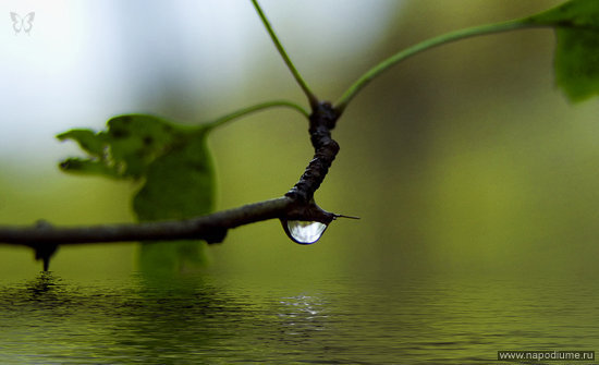 Фото Margo Vka