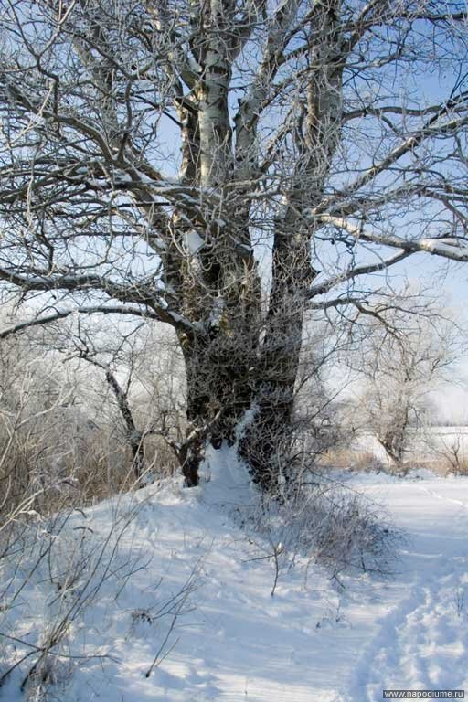 Фото Александр Александров