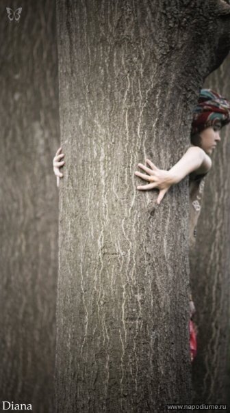 Фото Iva Basara