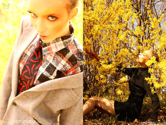 Фото Foty Mody